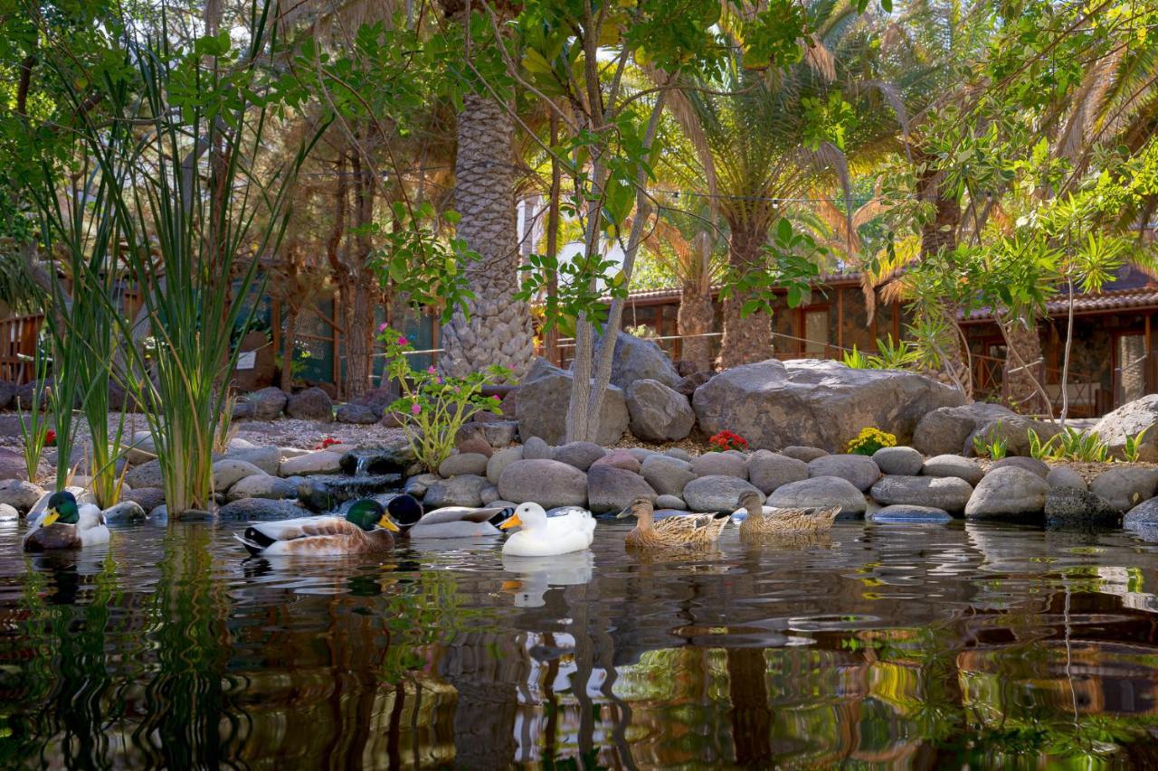 Redondo De Guayedra Guest House Екстериор снимка